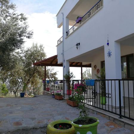 Bed and Breakfast Kaymak Tepesi Tatil Evi Кючуккую Екстер'єр фото
