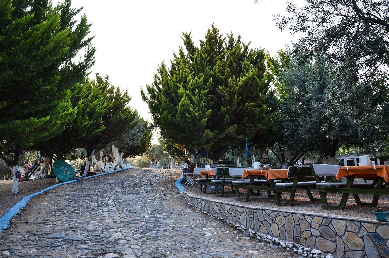 Bed and Breakfast Kaymak Tepesi Tatil Evi Кючуккую Екстер'єр фото