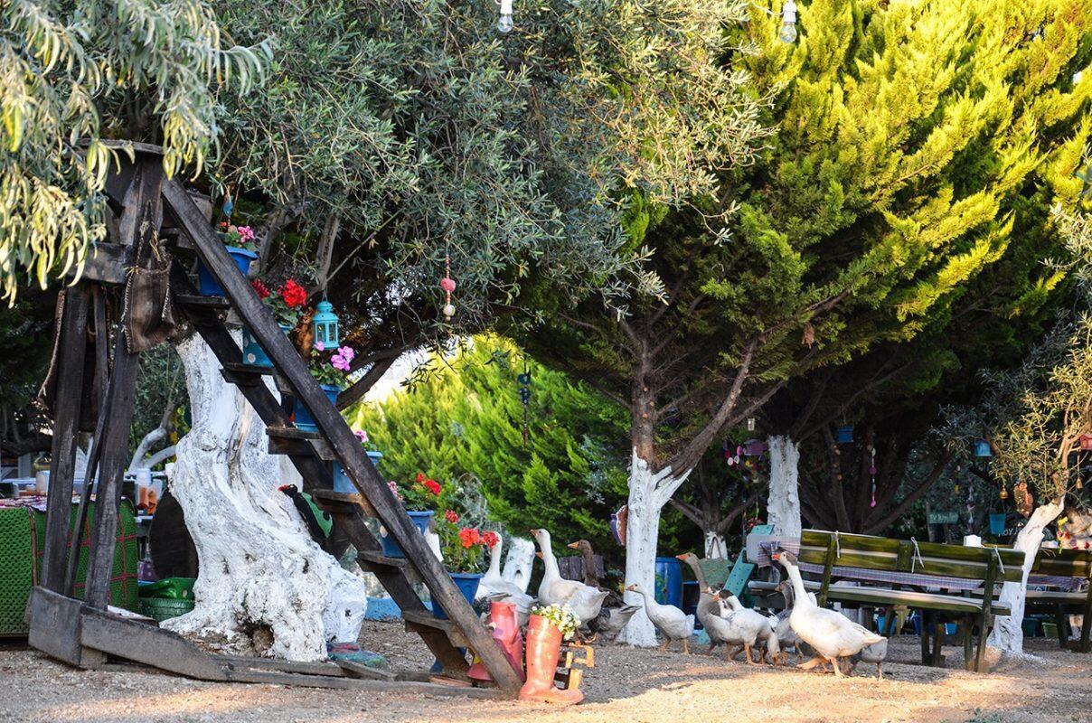 Bed and Breakfast Kaymak Tepesi Tatil Evi Кючуккую Екстер'єр фото